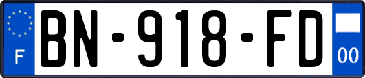 BN-918-FD