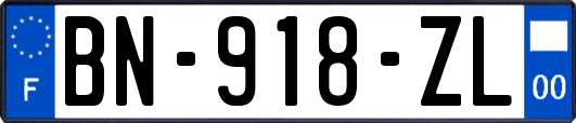 BN-918-ZL