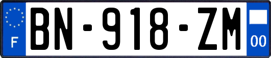 BN-918-ZM