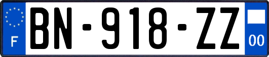 BN-918-ZZ