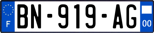 BN-919-AG
