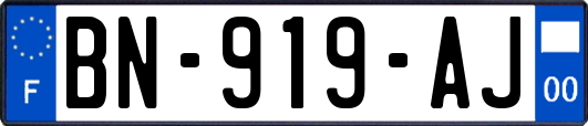 BN-919-AJ