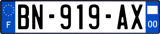 BN-919-AX