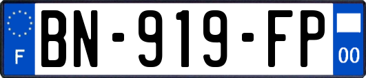 BN-919-FP