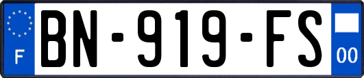 BN-919-FS