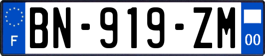 BN-919-ZM