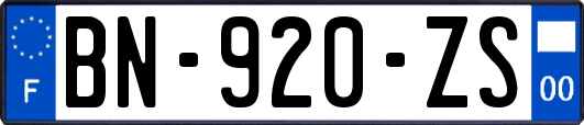 BN-920-ZS