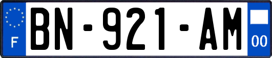 BN-921-AM