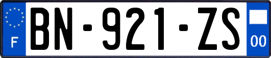 BN-921-ZS