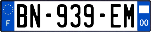BN-939-EM