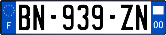 BN-939-ZN