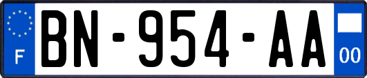 BN-954-AA