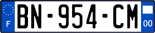BN-954-CM