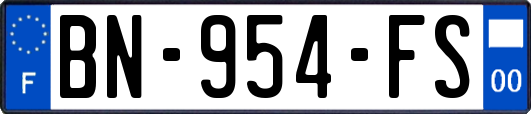 BN-954-FS