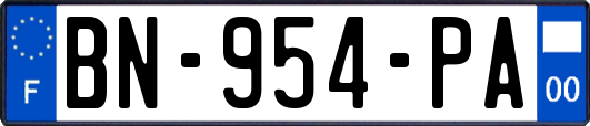 BN-954-PA