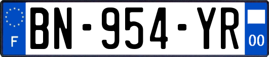 BN-954-YR
