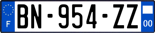 BN-954-ZZ