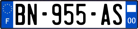 BN-955-AS