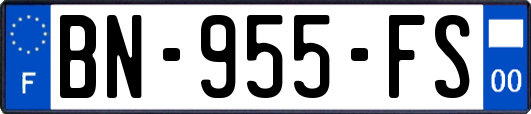 BN-955-FS
