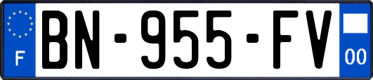 BN-955-FV