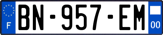 BN-957-EM