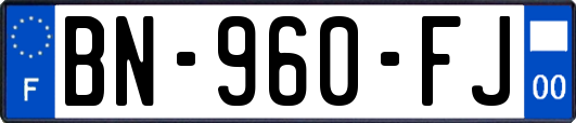 BN-960-FJ