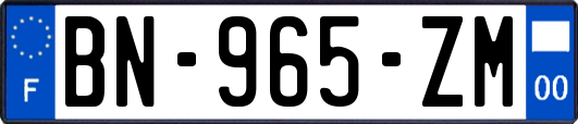 BN-965-ZM