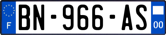 BN-966-AS