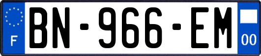 BN-966-EM