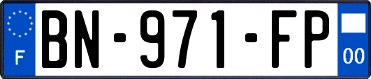 BN-971-FP