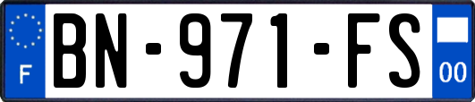 BN-971-FS