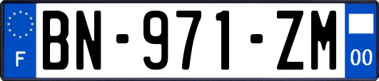 BN-971-ZM