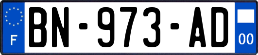BN-973-AD