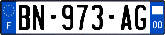 BN-973-AG