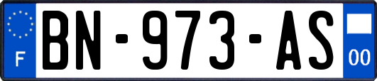 BN-973-AS