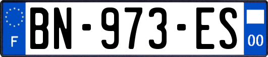 BN-973-ES