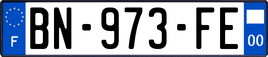 BN-973-FE