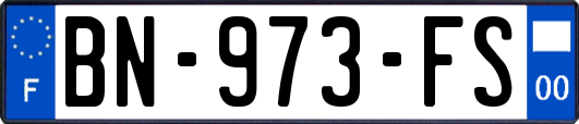 BN-973-FS