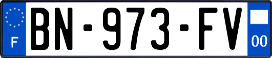 BN-973-FV