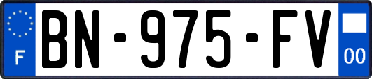 BN-975-FV