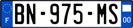 BN-975-MS