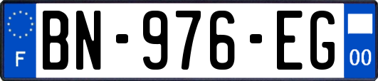 BN-976-EG