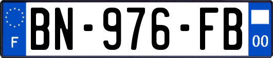 BN-976-FB