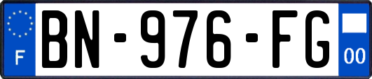 BN-976-FG