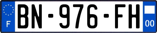 BN-976-FH