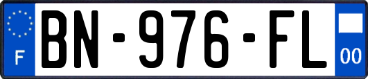 BN-976-FL