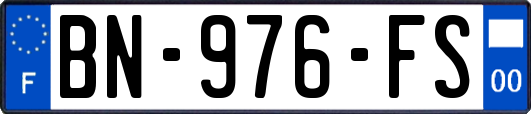 BN-976-FS