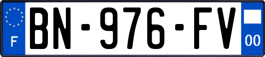 BN-976-FV