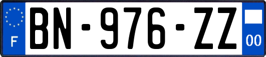 BN-976-ZZ