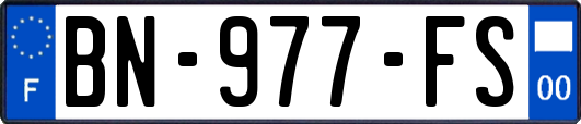 BN-977-FS